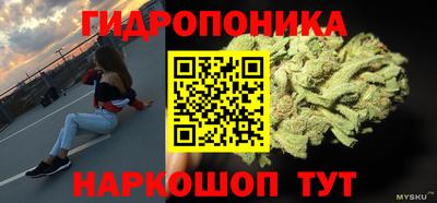 apvp Краснознаменск